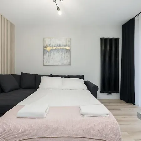 Nowoczesne Studio Przy Warcie Poznan